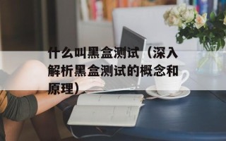什么叫黑盒测试（深入解析黑盒测试的概念和原理）