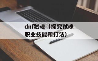 dnf弑魂（探究弑魂职业技能和打法）