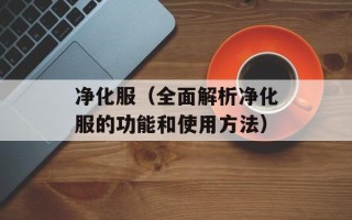 净化服（全面解析净化服的功能和使用方法）