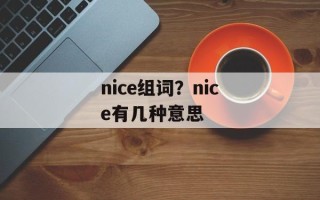 nice组词？nice有几种意思