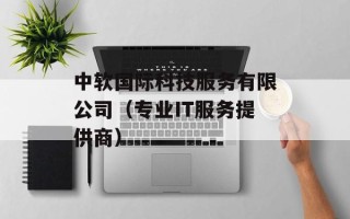 中软国际科技服务有限公司（专业IT服务提供商）