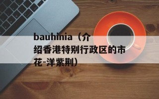 bauhinia（介绍香港特别行政区的市花-洋紫荆）