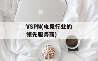 VSPN(电竞行业的领先服务商)