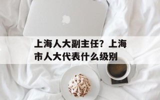上海人大副主任？上海市人大代表什么级别