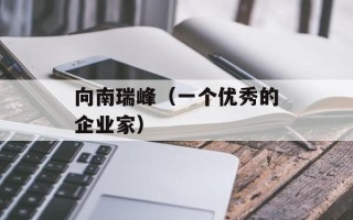 向南瑞峰（一个优秀的企业家）
