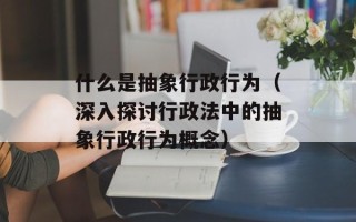 什么是抽象行政行为（深入探讨行政法中的抽象行政行为概念）