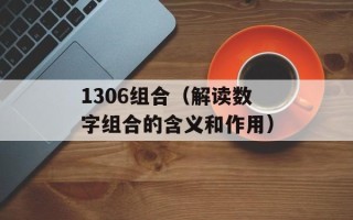 1306组合（解读数字组合的含义和作用）