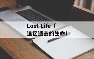Lost Life（追忆逝去的生命）