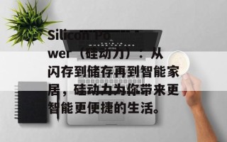 Silicon Power（硅动力）：从闪存到储存再到智能家居，硅动力为你带来更智能更便捷的生活。