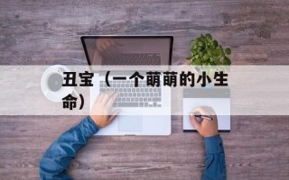 丑宝（一个萌萌的小生命）