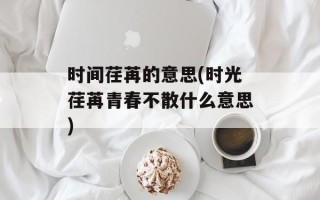 时间荏苒的意思(时光荏苒青春不散什么意思)