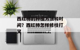 西红柿的种植方法和时间？西红柿怎样修枝打叉