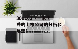 300163（一家优秀的上市公司的分析和展望）