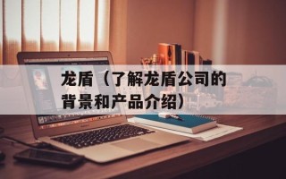 龙盾（了解龙盾公司的背景和产品介绍）