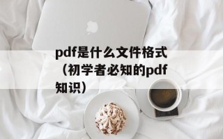 pdf是什么文件格式（初学者必知的pdf知识）