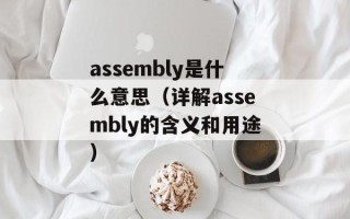 assembly是什么意思（详解assembly的含义和用途）