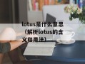 lotus是什么意思（解析lotus的含义和用法）