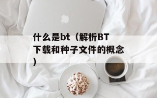 什么是bt（解析BT下载和种子文件的概念）