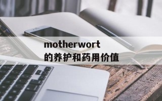 motherwort的养护和药用价值