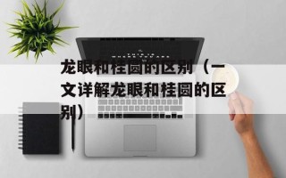 龙眼和桂圆的区别（一文详解龙眼和桂圆的区别）