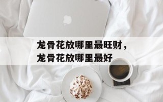 龙骨花放哪里最旺财，龙骨花放哪里最好
