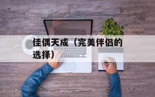 佳偶天成（完美伴侣的选择）