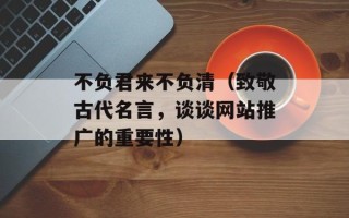 不负君来不负清（致敬古代名言，谈谈网站推广的重要性）