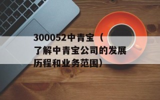 300052中青宝（了解中青宝公司的发展历程和业务范围）