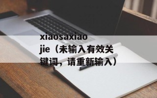 xiaosaxiaojie（未输入有效关键词，请重新输入）