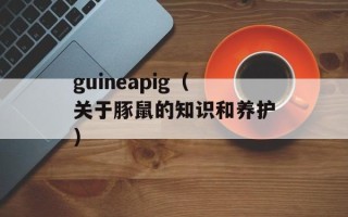guineapig（关于豚鼠的知识和养护）