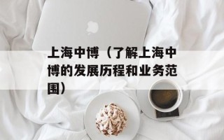上海中博（了解上海中博的发展历程和业务范围）
