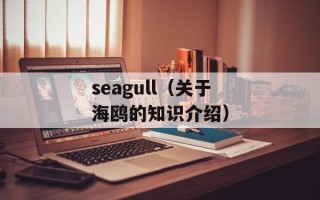 seagull（关于海鸥的知识介绍）