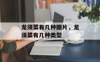 龙须菜有几种图片，龙须菜有几种类型