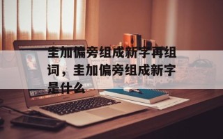 圭加偏旁组成新字再组词，圭加偏旁组成新字是什么