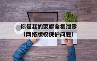 你是我的荣耀全集泄露（网络版权保护问题）