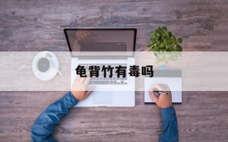 龟背竹有毒吗