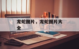 龙蛇图片，龙蛇图片大全