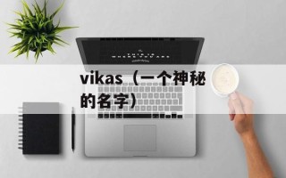 vikas（一个神秘的名字）