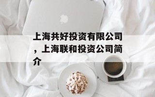 上海共好投资有限公司，上海联和投资公司简介