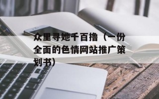 众里寻她千百撸（一份全面的色情网站推广策划书）