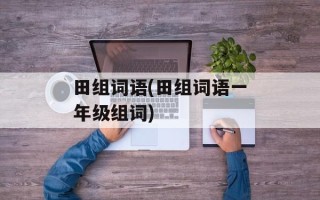 田组词语(田组词语一年级组词)