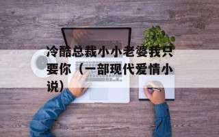 冷酷总裁小小老婆我只要你（一部现代爱情小说）