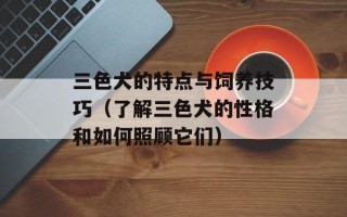 三色犬的特点与饲养技巧（了解三色犬的性格和如何照顾它们）