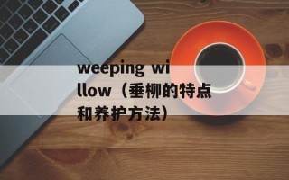 weeping willow（垂柳的特点和养护方法）