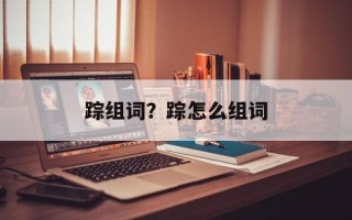 踪组词？踪怎么组词