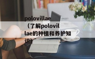 polovillae（了解polovillae的种植和养护知识）