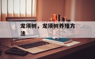 龙须树，龙须树养殖方法