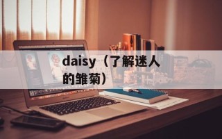 daisy（了解迷人的雏菊）
