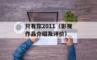 只有你2011（影视作品介绍及评价）