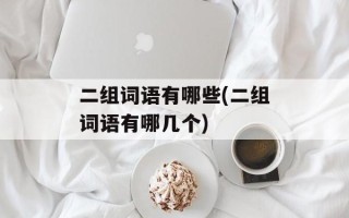 二组词语有哪些(二组词语有哪几个)